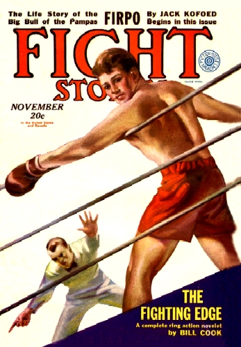 Fight Stories Volume 3 Number 6